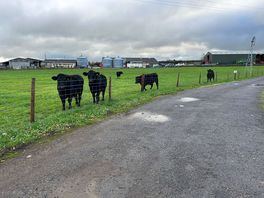 View in the morning :-)