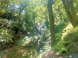 Arriving in glendalough