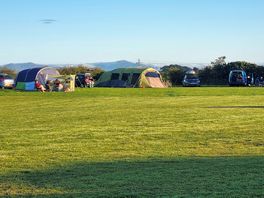 Level spacious field