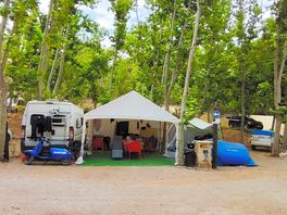 Pitches in the trees
