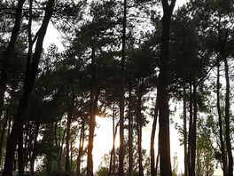 View from caravan towards river