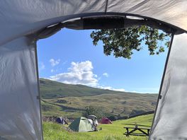 Morning view