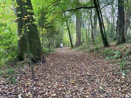 Hoddom bridge trail