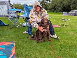 Dogs loving life