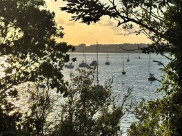 Estuary