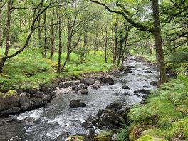 River by campsite