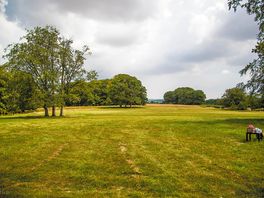 Park field