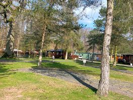 Site