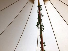 Beautiful tent
