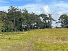 Lots of walks