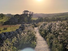 Path to janet’s foss with glowing fluffies. taken by sam agnew photography