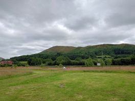 View out back of site