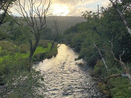 Stream on site