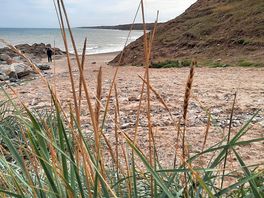 Short walk to the beach
