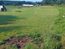 Orchard being developed at the rear.