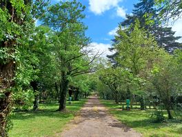 Tent and caravan pitches