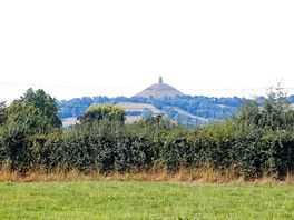 Nip nip hill