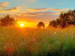 Sunset from site