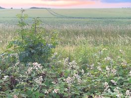 Stunning view from the site
