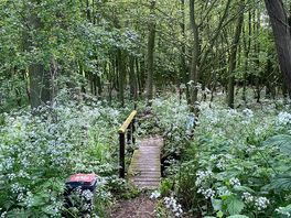 Lovely walking area