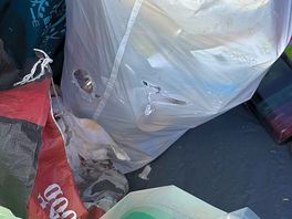 Rats in our bin
