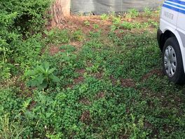 Can’t really portray how soft the ground was, only to describe as flattened compost heap