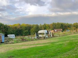 View from adjoining field