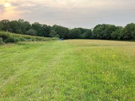 Field