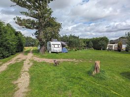Our pitch