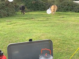 Local residents