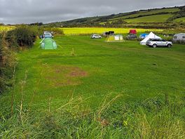 The site
