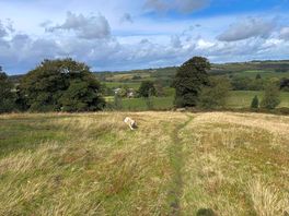 Great walks and views