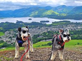 Latrigg overlooking keswick