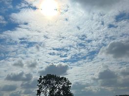 View from bell tent