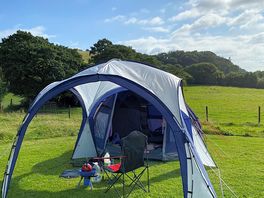 Our pitch