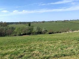 Beautiful view