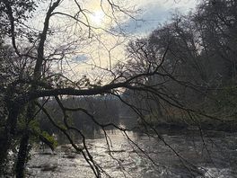 Cenarth falls
