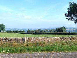 Views from site