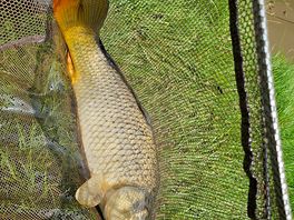 A nice little catch