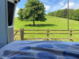 Room with a view