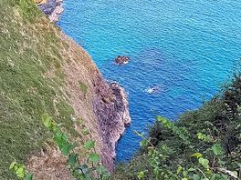 View from the coastal path