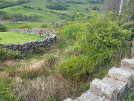 Beautiful views when walking around the campsite