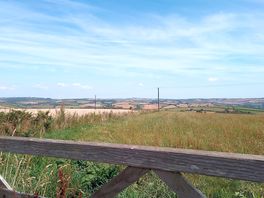 View from field