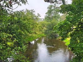 River walking, view from the little bridge by the entrance to site.