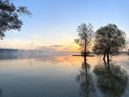 Vue le matin