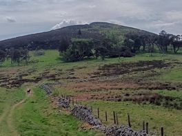 Ruberslaw hill