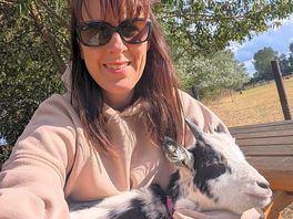 Goat cuddles
