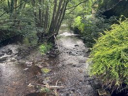 River that runs next to site