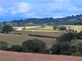 Camp site view