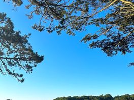 View from our camper van